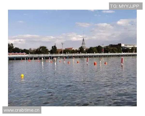 《激情碰撞水中巅峰赛事 游泳争霸赛点燃速度与激情》